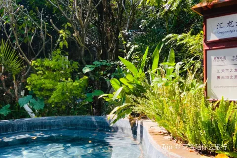 Yuxi Huilong Hot Spring Cultural Manor