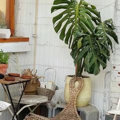 麻雀商店 User Photo