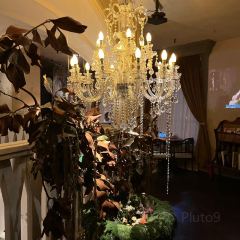 ECHO Bar&Designers Boutique User Photo