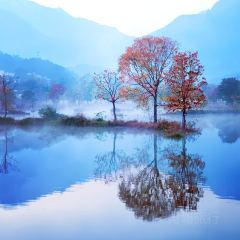 YU WEI GUAN User Photo