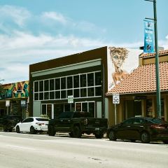 Azucar Ice Cream - Little Havana User Photo