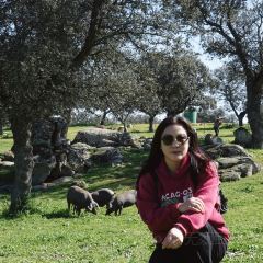 Bodegas Campos User Photo