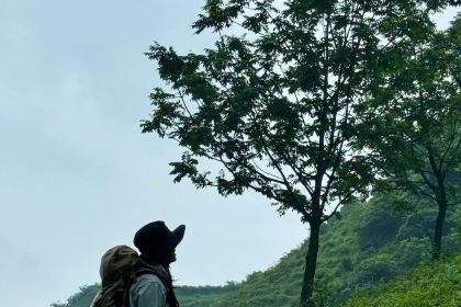 吴二大排档(小十字店)