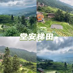 廖胖子特色美食 User Photo