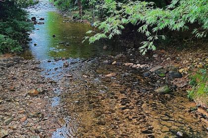 粤竹农庄·竹筒饭(富力养生谷店)