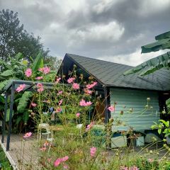 万物生农场餐厅 User Photo