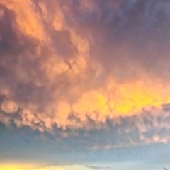 邓家牛腩面 User Photo