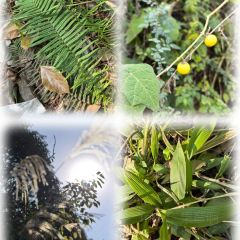 山涧别院 User Photo