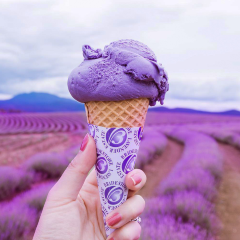 Port Arthur Lavender User Photo