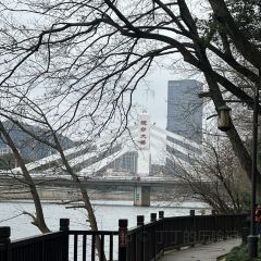 根建冷饮油炸 User Photo