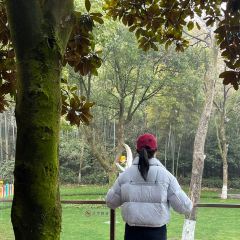 竹香居賓館張用戶圖片