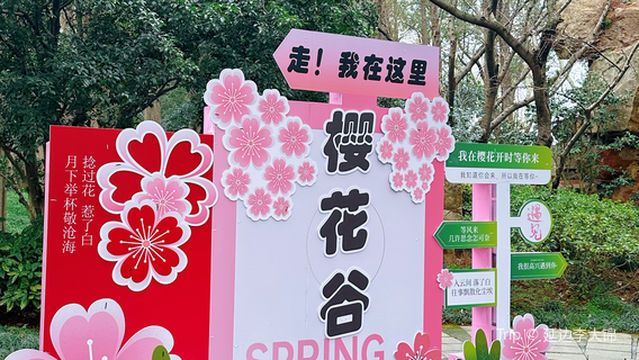 wu xi tai hu yuan tou zhu feng jing qu - guan guang you lan che ying hua gu zhan