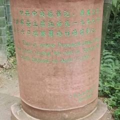 刘抄手 User Photo
