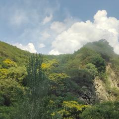 秦岭服务区-餐厅 User Photo