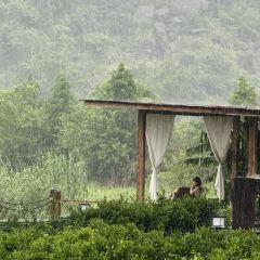 思无邪·逍遥游·餐厅 User Photo