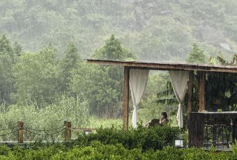 思无邪·逍遥游·餐厅 User Photo