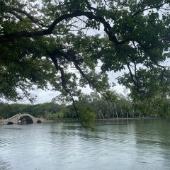 唐沫茶兮(三坊七巷店) User Photo