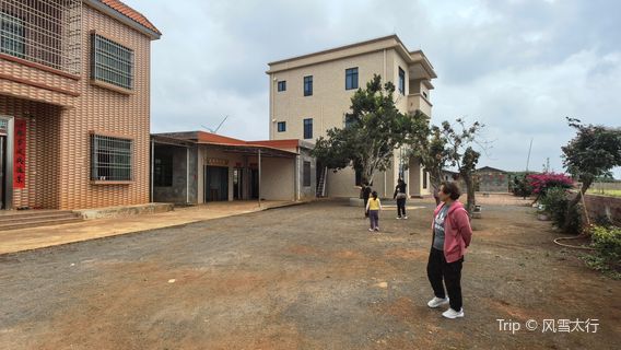 bo luo de hai xiang cun mei shu guan