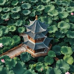 Baijiazhaobing User Photo