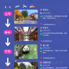 Panda Family User Photo