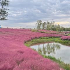 杜家土菜馆(长兴店) User Photo