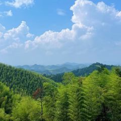 YUNYA COFFEE User Photo