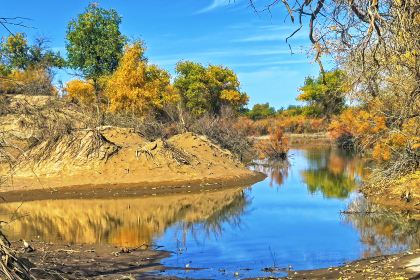 泽成冰煮羊(大盛魁店)
