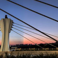 Seeing Tea User Photo