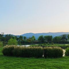 枇杷熟了coffee User Photo