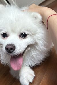 moridabest 深圳桔釣沙萊華度假飯店優惠