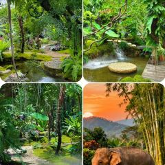 曼回索玉旺罕傣家乐 User Photo