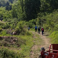偏愛炒雞店(淘你歡店)張用戶圖片