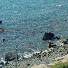 Having Moment User Photo