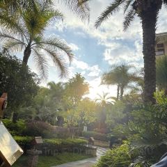 西波魚莊張用戶圖片