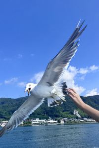 YAYAyaya66 鳥取ワシントンホテルプラザ クーポン