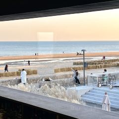 Bar Lotus User Photo