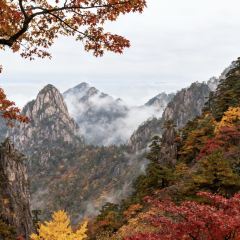 秀嫂挞粿 User Photo