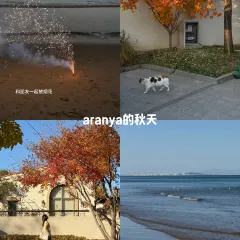 Bar Lotus User Photo