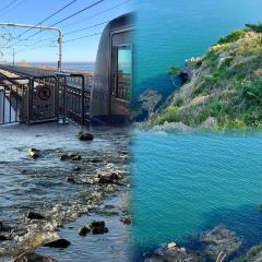 喜鼎海胆水饺(星海湾壹号店) User Photo