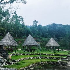 碧波莊園張用戶圖片