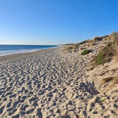 The Shorehouse User Photo