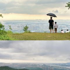 茶山天然居 User Photo