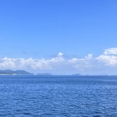 桔钓沙望月海鲜餐吧(大鹏游艇会店) User Photo