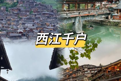 中国瘪王