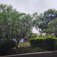 啊一柠檬茶(东源宝晟城店) User Photo