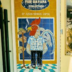 Azucar Ice Cream - Little Havana User Photo