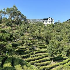 茶山天然居 User Photo