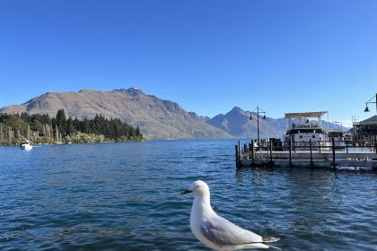 Patagonia Chocolates - Ice Creamery & Chocolaterie