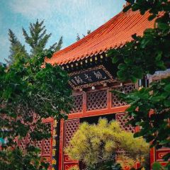 Daguohaixiancheng (puzhaosi) User Photo