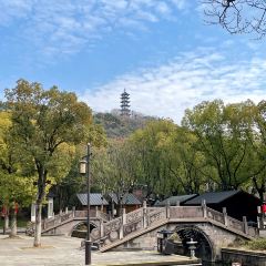 藤羹糖秧 User Photo